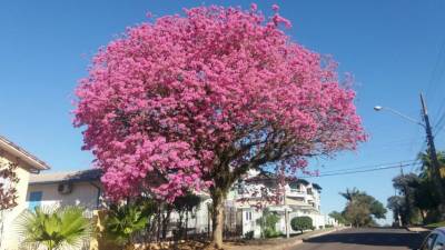 Famcri lança 2ª edição de concurso fotográfico