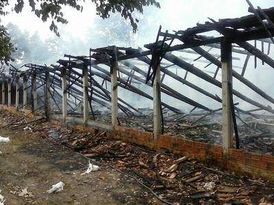 Mais de duas mil aves são mortas em incêndio de aviário em Lauro Müller