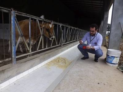 Epagri de Araranguá realiza curso de homeopatia agropecuária