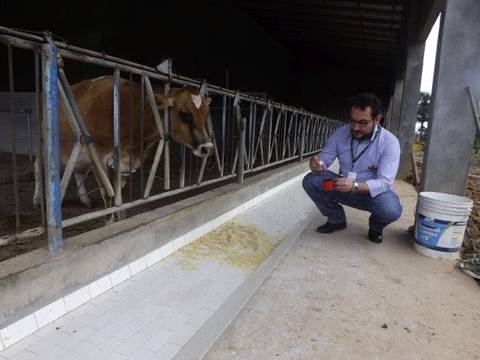 Epagri de Araranguá realiza curso de homeopatia agropecuária