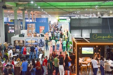 Portal Engeplus disponibiliza câmeras ao vivo na CasaPronta