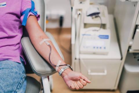 Dia Mundial do Doador de Sangue reforça importância do gesto que pode salvar vidas
