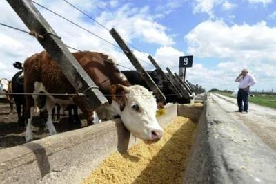 O duro caminho da Argentina para exportar alimentos