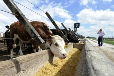 O duro caminho da Argentina para exportar alimentos