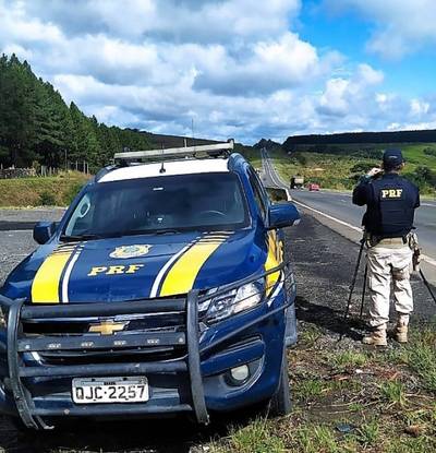 Correndo risco de ser atropelada, tartaruga é resgatada em rodovia catarinense