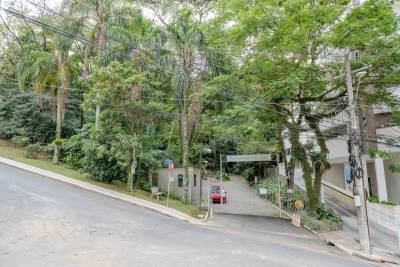 Exposição de aves na Gruta Nossa Senhora de Lourdes abre na próxima semana em Criciúma