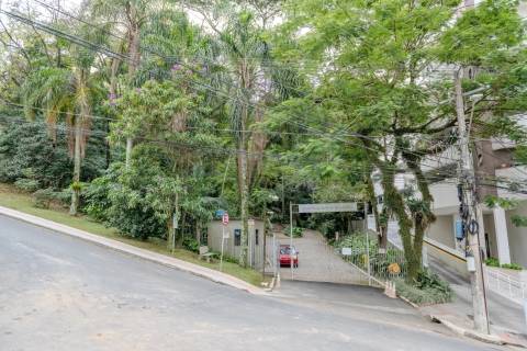 Exposição de aves na Gruta Nossa Senhora de Lourdes abre na próxima semana em Criciúma