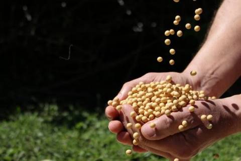 Agronegócio bate recordes e responde por 66% das exportações catarinenses em 2018