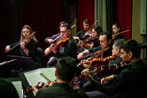 Contrastes: novo concerto gratuito da Camerata di Venezia em Nova Veneza