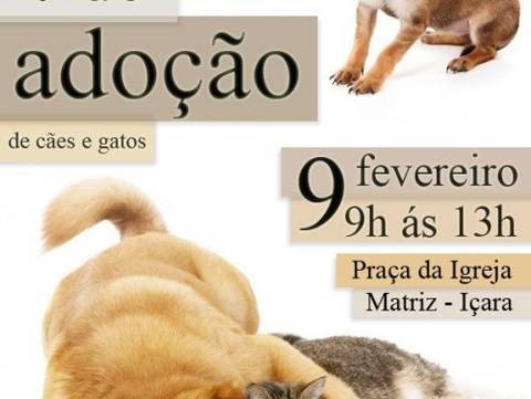 Feirinha de adoção de animais em Içara