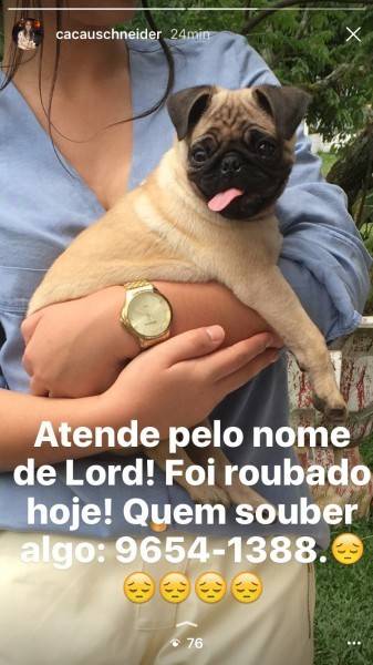 Procura-se 