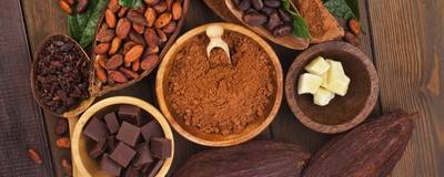 Páscoa: confira dicas de como escolher o melhor chocolate para aproveitar a data