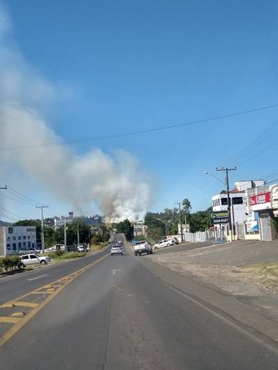 Fogo em vegetação no bairro Floresta reinicia e bombeiros são acionados para combater as chamas