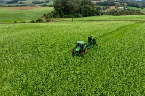 Santa Catarina investe em agricultura sustentável com distribuição de kits para cobertura vegetal