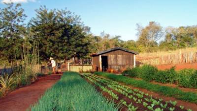 Governo prorroga prazo de inscrição no Cadastro Ambiental Rural