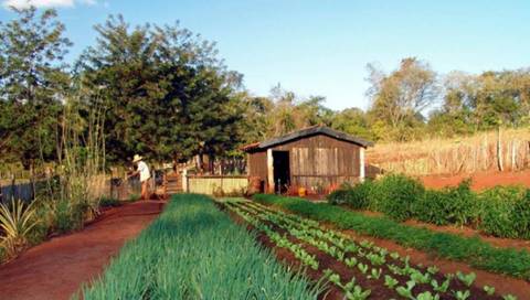 Governo prorroga prazo de inscrição no Cadastro Ambiental Rural