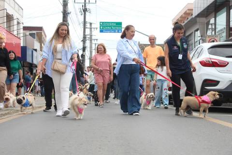 Inscrições para a Cãominhada estão abertas em Morro da Fumaça
