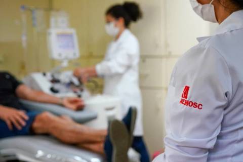 Hemosc comemora Semana Nacional do Doador de Sangue com atividades especiais