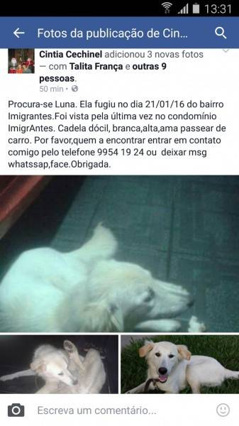 Procura-se Luna