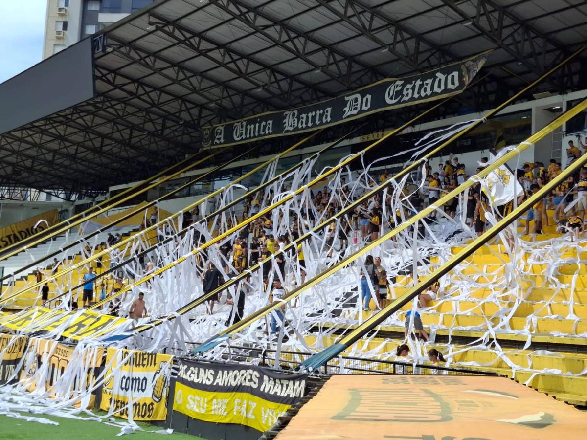 Fotos e vídeos: torcida do Criciúma faz festa durante treino aberto no Majestoso — foto 2