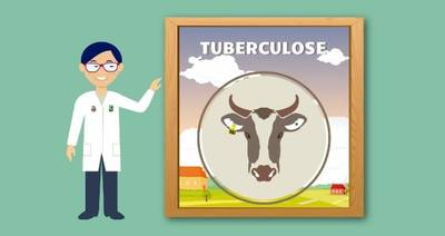 Cidasc orienta sobre tuberculose em rebanhos