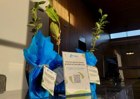 O futuro que desejamos precisa ser plantado hoje! Envie sua foto e faça parte de nossa galeria
