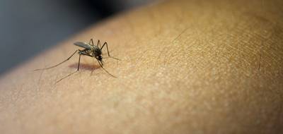 Programa Saúde nas Escolas inicia nesta quarta com ênfase no combate à dengue