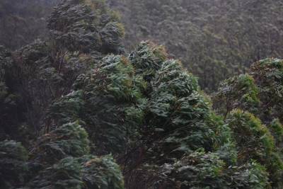 Celesc detalha plano de contingência para eventos climáticos extremos no Sul de SC