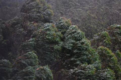 Celesc detalha plano de contingência para eventos climáticos extremos no Sul de SC
