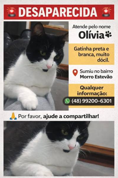 Procura-se Olívia