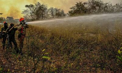 Bombeiros catarinenses retornam ao estado depois de 14 dias de combate aos incêndios no Pantanal
