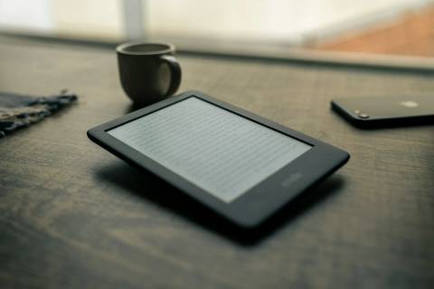 Santa Catarina poderá contar com ambiente virtual de acesso gratuito a livros