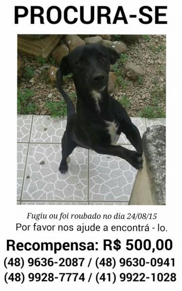 Procura-se Pretinho