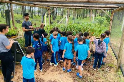 Em ação de educação ambiental, alunos visitam horto florestal de Morro da Fumaça