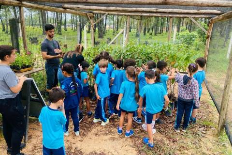 Em ação de educação ambiental, alunos visitam horto florestal de Morro da Fumaça