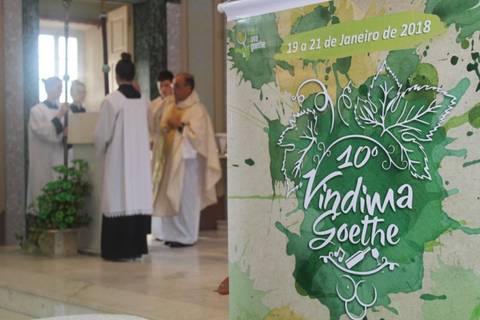 Vindima Goethe: celebração evidencia as mãos que colhem