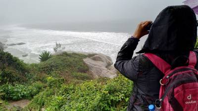 Rota da Baleia Franca representa o futuro do ecoturismo no litoral Sul catarinense