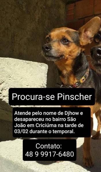 Procura-se Djhow