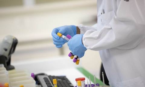 Malária: casos no Brasil estão em queda, afirma infectologista
