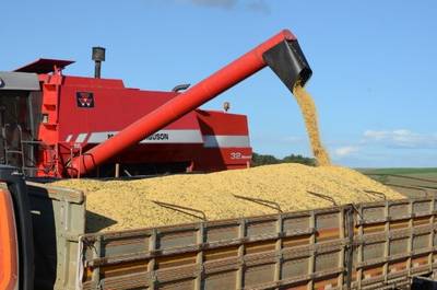 Agronegócio responde por 72% das exportações catarinenses no primeiro semestre de 2020