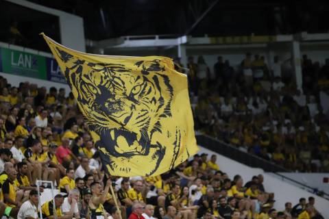 Torcida organizada faz críticas à gestão do Criciúma após derrota para a Chapecoense