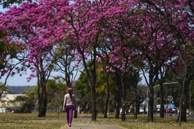 Com chegada da primavera é preciso aumentar os cuidados com a pele