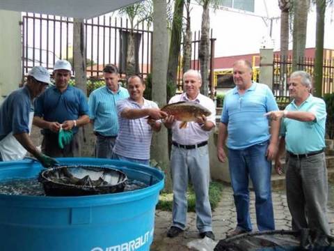 Meia tonelada na Feira do Peixe Vivo
