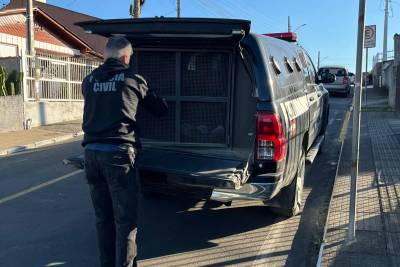 Jovem é preso por descumprir medida protetiva e ameaçar ex-companheira em Orleans