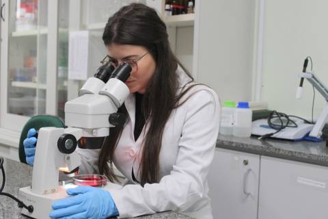 Programa de Pós-graduação em Ciências da Saúde da Unesc recebe nota máxima em avaliação