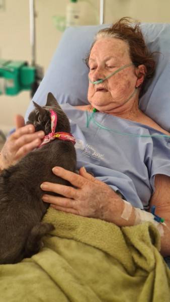 Equipe multidisciplinar e familiares promovem encontro de paciente com gata de estimação