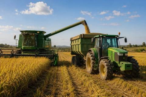 Semana da Agricultura: ação gratuita promove capacitação e valoriza setor rural em Nova Veneza