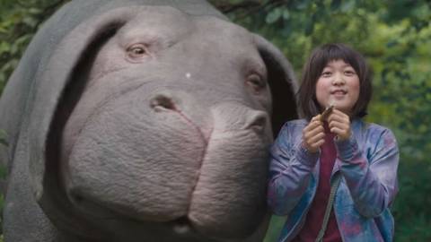 Filme Okja discute o consumo de animais na alimentação humana