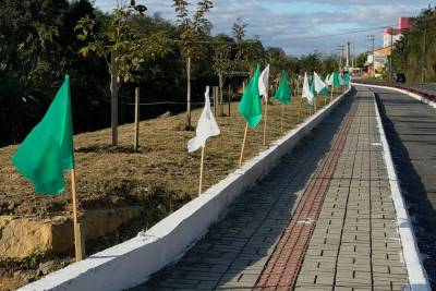 Fotos: bandeiras decoram ruas de Lauro Müller na expectativa pela Festa do Agricultor