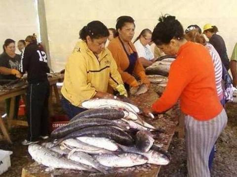 Festa da Tainha gera empregos no Balneário Rincão